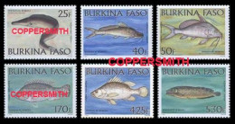 (046) Burkina Faso / 2001 / Fauna / Animals / Fish / Poissons / Fische / Rare / Scarce  ** / Mnh  Michel 1835-40 - Burkina Faso (1984-...)