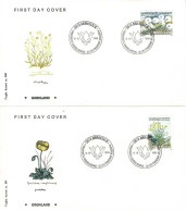 Greenland 1989; Flowers - Cotton-grass And Mountain Poppy.  Set Of 2 On FDC (Foghs Covers). - FDC