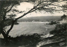 83 - Saint Cyr Sur Mer - Vue Des Lecques Prise De La Madrague - Mention Photographie Véritable - CPSM Grand Format - Voi - Saint-Cyr-sur-Mer