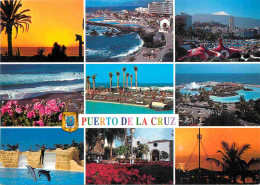 Espagne - Espana - Islas Canarias - Tenerife - Puerto De La Cruz - Multivues - CPM - Voir Scans Recto-Verso - Tenerife