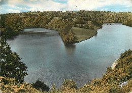 50 - Saint Hilaire Du Harcouet - Pont Des Biards Et La Sélune - Mention Photographie Véritable - Carte Dentelée - CPSM G - Saint Hilaire Du Harcouet