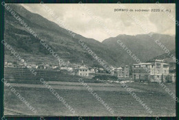 Sondrio Bormio Veduta Da Sud Ovest Cartolina RB6188 - Sondrio