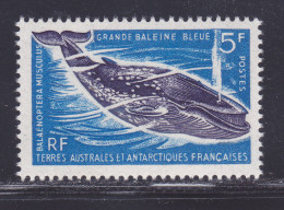 TAAF N°   22 ** MNH Neuf Sans Charnière, TB (D7806) Faune Marine - 1966 - Unused Stamps