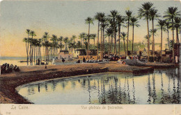 Egypt - CAIRO - View Of Bedreshen - Publ. Unknown  - Cairo