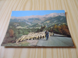 Paysages De Provence - La Transhumance - Carte Animée. - Provence-Alpes-Côte D'Azur