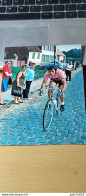 EDDY MERCKX - Collections