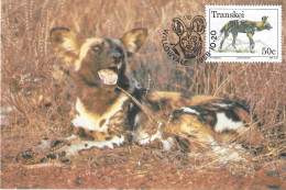 Transkei South Africa 1988 MiNr. 229  Animals  African Wild Dog (Lycaon Pictus) MC 1.80 € - Perros