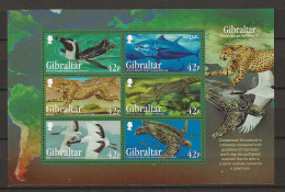 2013  MNH Gibraltar Mi Block 113 Postfris** - Gibraltar