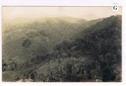 Rare Carte Photo. Mexique. Plantation De Café De San Patricio. Vue D'ensemble Des Terrains Vierges (039) - Landwirtschaftl. Anbau