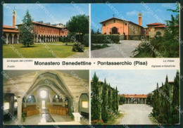 Pisa San Giuliano Terme Pontasserchio Foto FG Cartolina ZKM8173 - Pisa