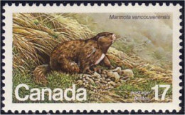 (C08-83a) Canada Marmot Marmotte MNH ** Neuf SC - Neufs