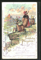 Präge-Lithographie Maikäfer, Käferfamilie Auf Einer Wanderung Blick Ins Tal  - Insectes