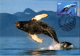 21-4-2024 (2 Z 36) Australia Maxicard - Set Of 4+1 - AAT Whales (if Not Sold Will NOT Be Re-listed) - Cartes-maximum