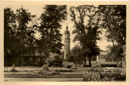 Arnstadt/Thür. - Stadtpark Mit Neideckturm - Arnstadt