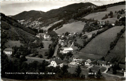 Oststeiermark/ Div.Orte Ung Umgebung - Sommerfrische Waldbach, - Hartberg