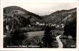 Oststeiermark/ Div.Orte Ung Umgebung - Sommerfrische Waldbach - Hartberg