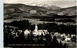 Oststeiermark/ Div.Orte Ung Umgebung - Sommerfrische Wenigzell Gegen Stuhleck - Hartberg