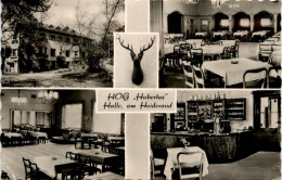 Halle An Der Saale - HOG Hubertus - Halle (Saale)