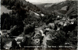 Oststeiermark/ Div.Orte Ung Umgebung - Sommerfrische Waldbach, - Hartberg