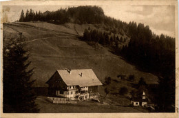 Bregenz/Vorarlberg, Div. Orte Und Umgebung - Pfänderspitze Mit Hotel Und Dohle - Bregenz