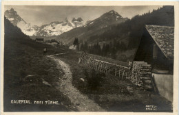 Bregenz/Vorarlberg, Div. Orte Und Umgebung - Gauertal, Drei Türme - Bregenz