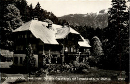 Admont/Gesäuse Und Umgebung - Gstatterboden, Hotel Gesäuse Und Dependance Mit Tamischbachturm - Gesäuse