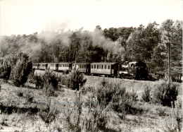 Schmalspurbahn Putbus - Göhren - Göhren