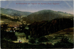 Senones - Kampfgebiet Der Vorgesen - Vosges - 88 - Senones