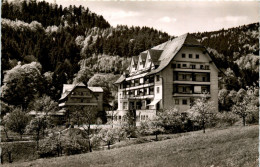 Ba-Wü/Schwarzwald/Freiburg/div.Orte Und Umgebung - Sanatorium Glotterbad, Oberglottertal - Glottertal