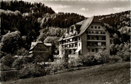 Ba-Wü/Schwarzwald/Freiburg/div.Orte Und Umgebung - Sanatorium Glotterbad, Oberglottertal - Glottertal