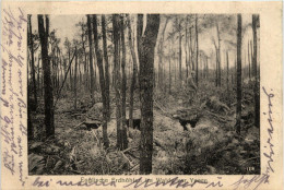 Englische Erfhöhle Im Walde Vor Ypern - Feldpost 51. Res. Division - Ieper