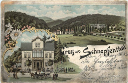 Gruss Aus Schnepfenthal - Litho - Waltershausen - Waltershausen