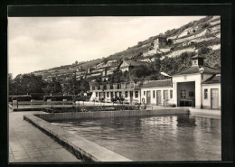 AK Freyburg /Unstrut, Stadtbad Mit Häuseransichten  - Freyburg A. D. Unstrut