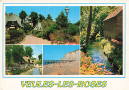 76 VEULES LES ROSES  - Veules Les Roses
