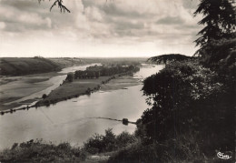 49 CHAMPTOCEAUX LA LOIRE ET SES ILES - Champtoceaux