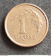 Coin Poland Moeda Polônia 1992 1 Grosz 1 - Polen