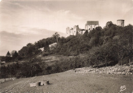 78 CHEVREUSE LE CHÂTEAU DE LA MADELEINE  - Chevreuse