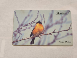 ANDORRA-(AD-STA-102)-Bullfinch-(13)(100units)-(01/03/99)(tirage-20.000)used Card+1card - Andorre