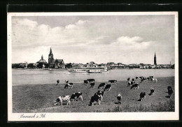 AK Emmerich A. Rh., Gesamtansicht Mit Rheindampfer Und Weidenden Kühen  - Emmerich