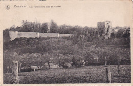 GEO Beaumont Les Fortifications Vues De Tinmont - Beaumont