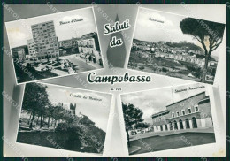 Campobasso Città Saluti Da Foto FG Cartolina ZKM7511 - Campobasso