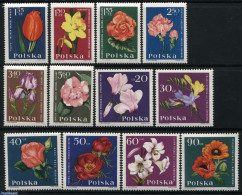 Poland 1964 Garden Flowers 12v, Mint NH, Nature - Flowers & Plants - Nuovi
