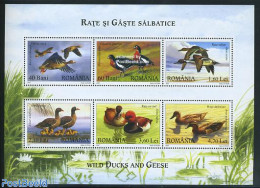 Romania 2007 Ducks & Goose 6v M/s, Mint NH, Nature - Birds - Ducks - Neufs