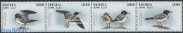 Eritrea 1996 Birds 4v [:::], Mint NH, Nature - Birds - Eritrea