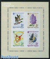 Hungary 1964 Stamp Day S/s Imperforated, Mint NH, Nature - Sport - Transport - Birds - Ducks - Flowers & Plants - Gymn.. - Nuovi