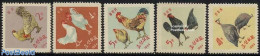 Korea, North 1964 Chicken 5v, Mint NH, Nature - Birds - Poultry - Corée Du Nord