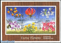 Maldives 1997 Exotic Plants 6v M/s, Mint NH, Nature - Flowers & Plants - Maldivas (1965-...)