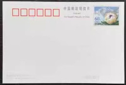 2002 CHINA  Saussurea Involucrata  PP-59 P-CARD - Cartes Postales