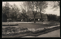 AK Berlin-Dahlem, Botanischer Garten, Erfrischungshalle  - Dahlem