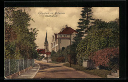 AK Radolfzell / Bodensee, Scheffelstrasse Im Warmen Herbstlicht  - Radolfzell